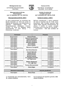 Verbale Consiglio Comunale