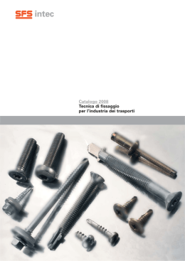 Viti autoforanti inox