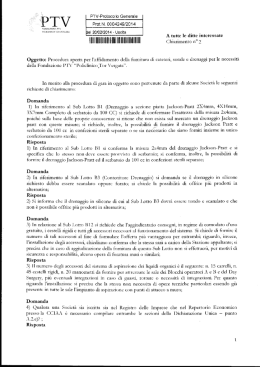 Chiarimento n. 2 (file PDF)