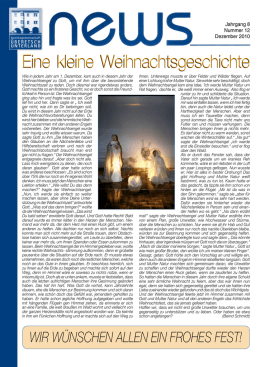 Infoblatt News Nr. 12 - Dezember 2010 (PDF 692 KB)