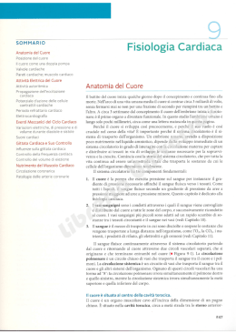 pagine di esempio - Libreria Universo