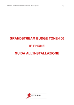 grandstream budge tone-100 ip phone guida all`installazione