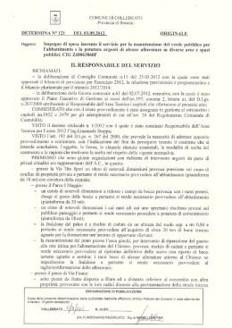 Oggetto: Impegno di spesa inerente il servizio per la manutenzione