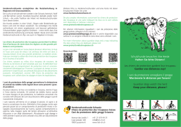 Schutzhunde bewachen ihre Herde Halten Sie bitte Distanz ! Les