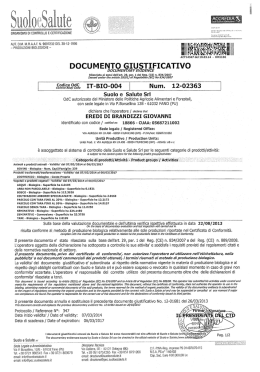 DOCUMENTO GIUSTIFICATIVO