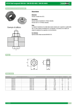 07210 Dadi esagonali DIN 934 / DIN EN ISO 4032 / DIN