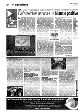 Dall`assembea nazionale un bilancigpositivo
