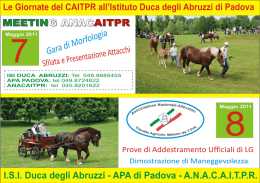 locandina manifestazione