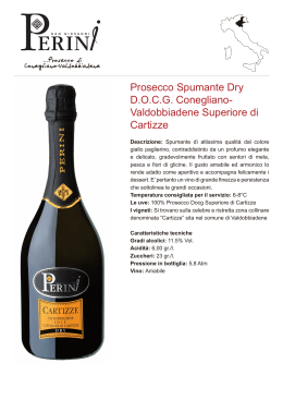 Prosecco Spumante Dry D.O.C.G. Conegliano