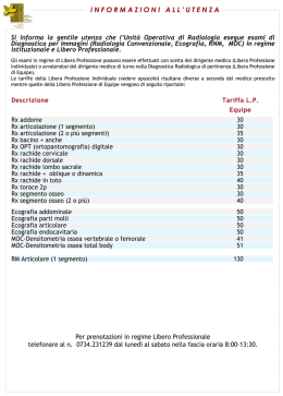 Libera Professione in Equipe