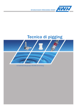 Tecnica di pigging - Armaturenwerk H&ouml;tensleben GmbH