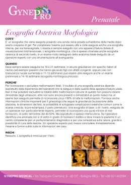Prenatale Ecografia Ostetrica Morfologica