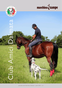 scarica il PDF - Club Amici Dalmata