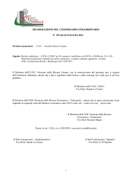 DELIBERAZIONE DEL COMMISSARIO STRAORDINARIO N° 295