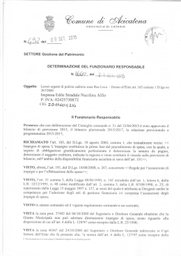 Impresa Edile Stradale Nucifora Alfio
