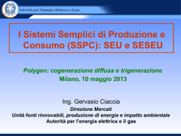 I Sistemi Semplici di Produzione e Consumo (SSPC): SEU e SESEU