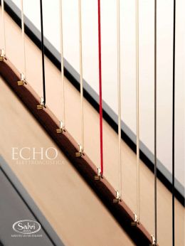 ELETTROACUSTICA - Salvi Harps Belgium