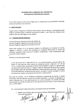 Integrativo Avellino Industria - Feneal