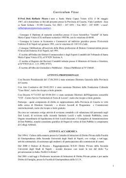 CV Raffaele Picaro