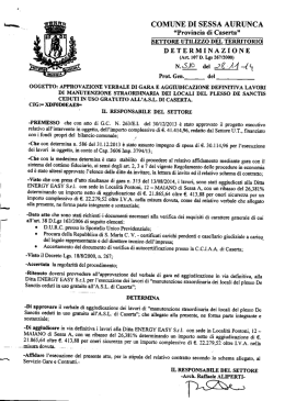 Aggiudicazione gara De Sanctis