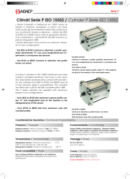 Cilindri Serie P ISO 15552 / Cylinder P Serie ISO 15552