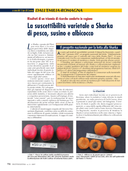La suscettibilità varietale a Sharka di pesco, susino e albicocco
