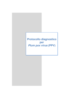 Protocollo diagnosi PPV