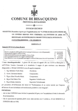 verbale di gara n.11 del 22.08.2014 centro serizi pip