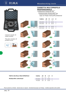 CASSETTA MULTIPROFILO PROFESSIONALE Woodworking