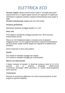 Versione singola: alzata elettrica testa e piedi n&deg; 26 doghe