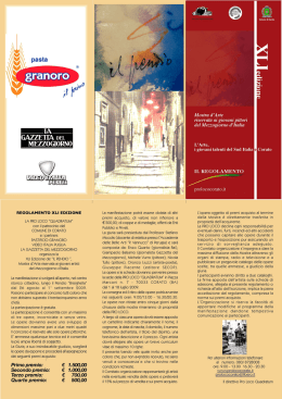 scarica il regolamento