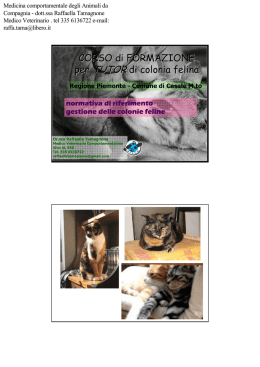 Normativa colonie feline