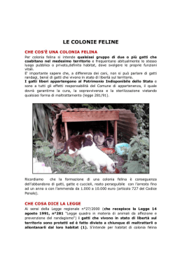 LE COLONIE FELINE - Gattile Di Carpi