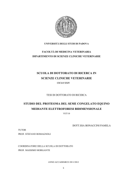 Documento PDF (tesi dottorato) - Padua@Research