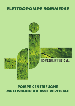 Sezione 2 - Idroelettrica