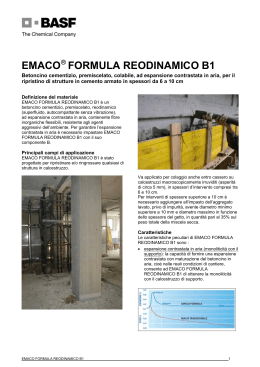 EMACO FORMULA REODINAMICO B1