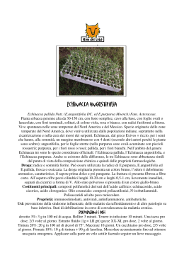 Prodotti Bio - Scheda Echinacea