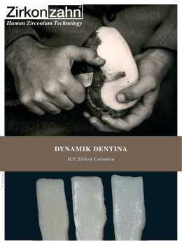 ICE Zirkon Ceramica Dynamik Dentina