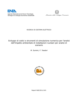 Sviluppo di codici e strumenti di simulazione numerica per l