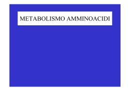 metabolismo aa