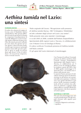 Aethina-tumida-nel-L.. - Istituto Zooprofilattico Sperimentale del