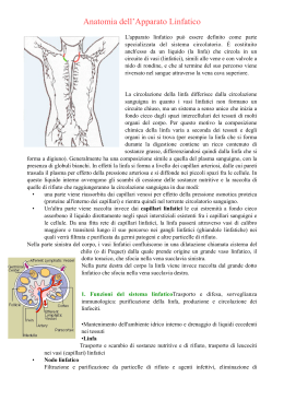 anatomia del sistema linfatico - Istituto Magistrale GB Vico