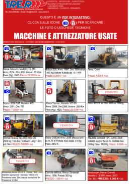 Volantino usato PDF