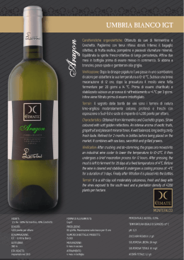 scheda aragon - Cantina Le Cimate