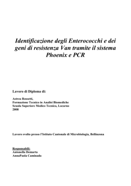 Identificazione degli Enterococchi e dei geni di resistenza Van
