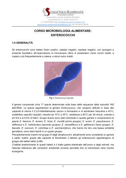 SR – Corso Microbiologia alimentare Enterococchi