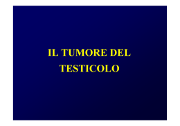 Tumore del Testicolo