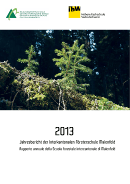 Jahresbericht Stiftung IFM - ibW H&ouml;here Fachschule S&uuml;dostschweiz