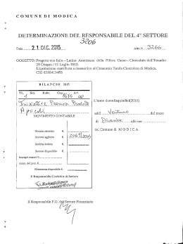 determina n.3266-2015