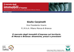 Presentazione di Giulio Carpinelli &ndash; Vice
